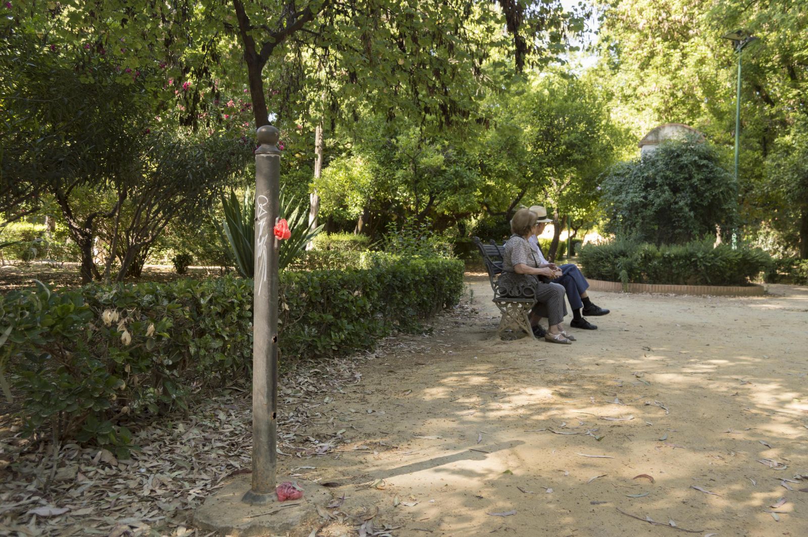 El estado de los Jardines del Valle, en imágenes