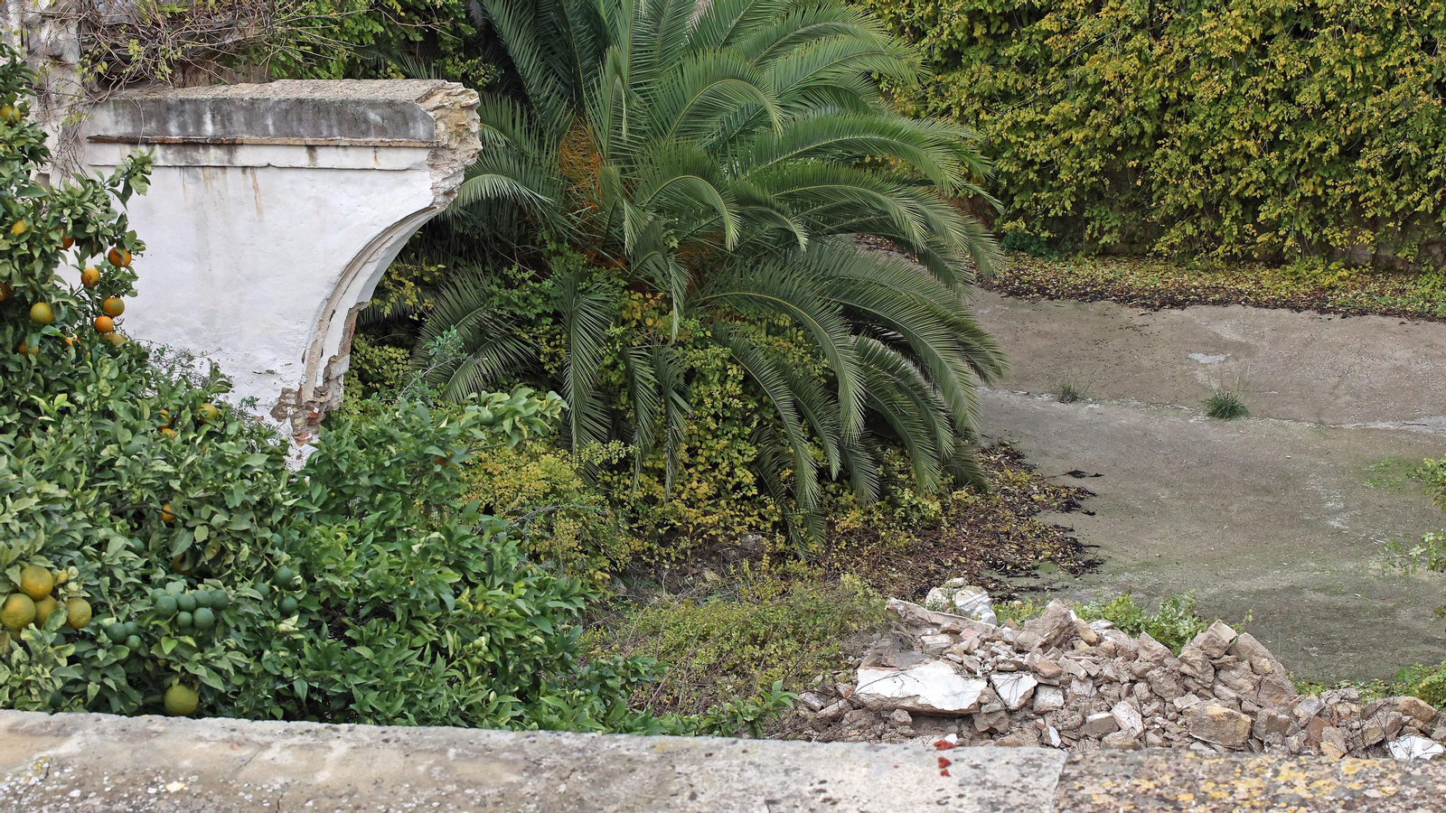 Se derrumba uno de los muros del interior del Palacio Riquelme en Jerez