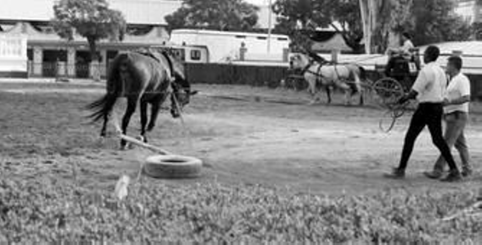 Alumno y profesor de una escuela taller, el pasado año en el Depósito de Sementales.