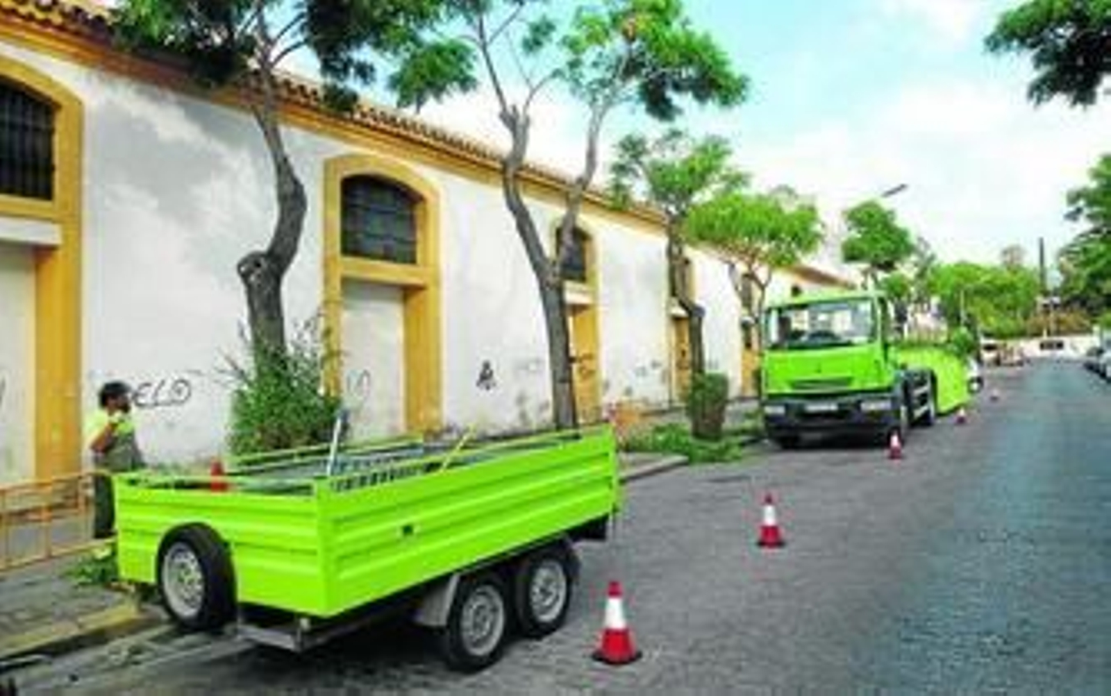 Una imagen de las podas realizadas en los árboles de la avenida de la Estación a principios de agosto.