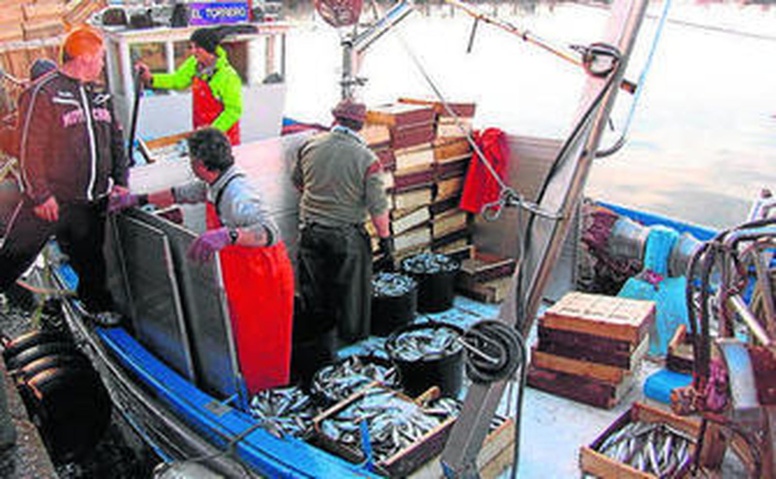 Las especies más descartadas son la sardina, el jurel y el aligote.