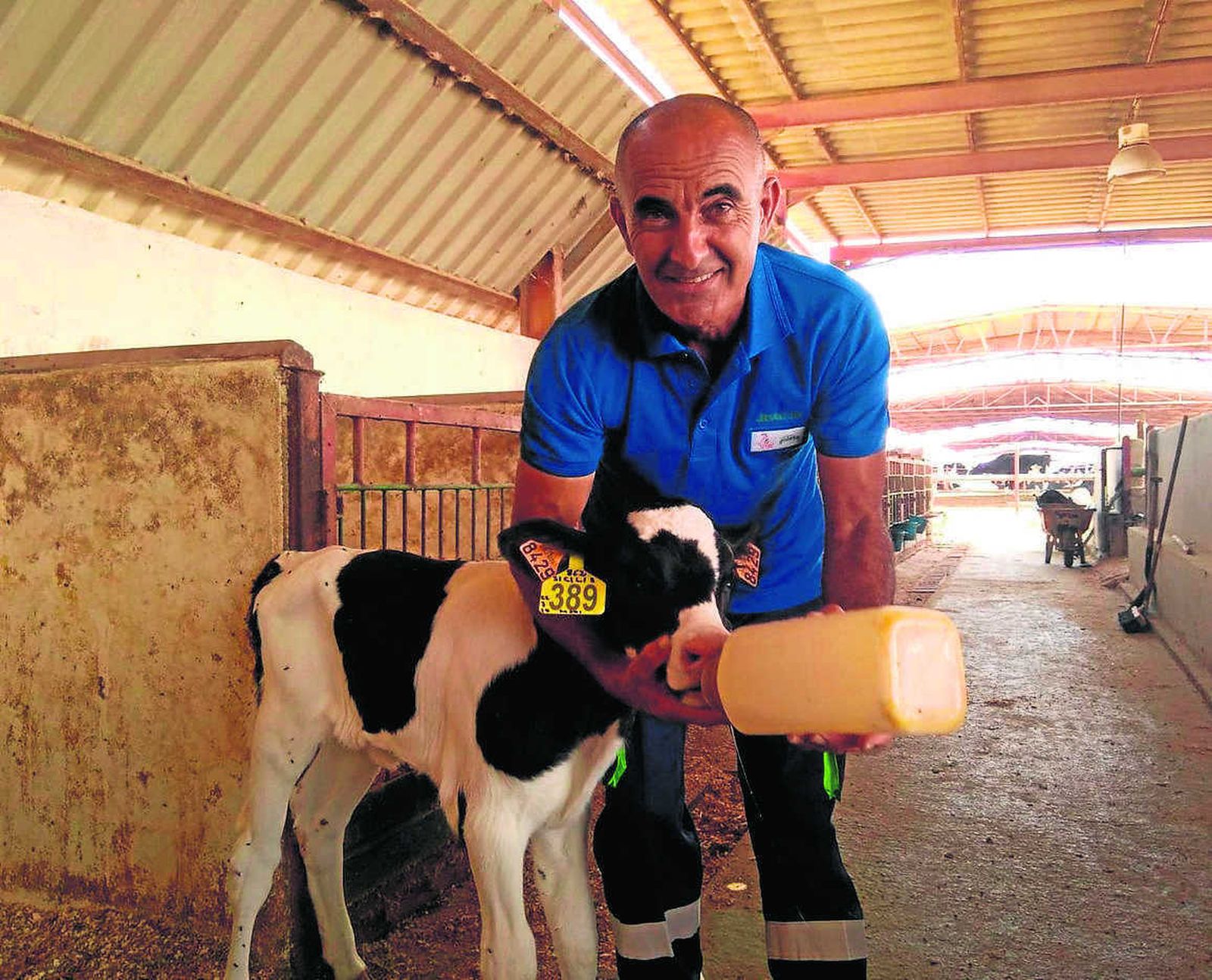 La Goleta, un millón de litros de leche anuales en la capital