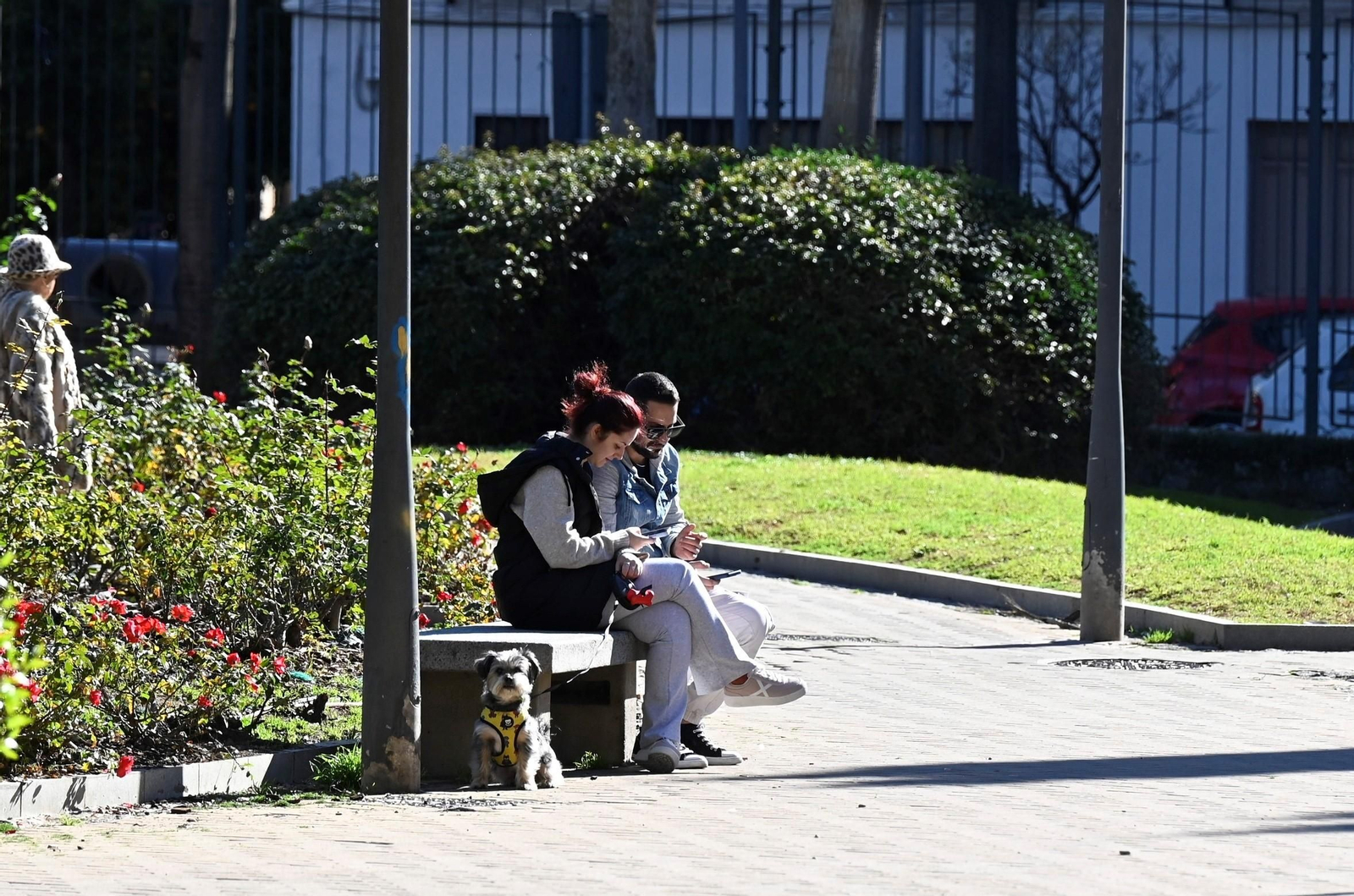 Un paseo en imágenes por Ciudad Jardín una fría jornada invernal