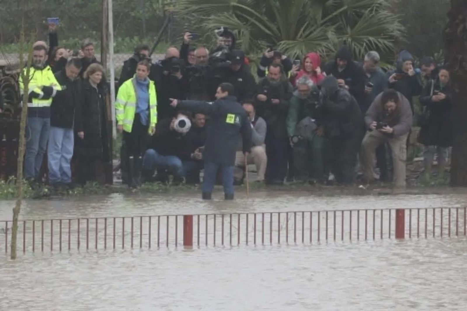 Contrafoto. Es de Francis.