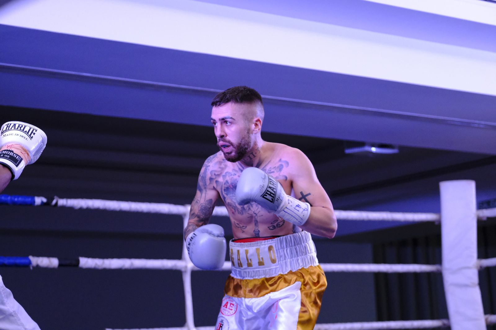 Fotogalería de la velada de boxeo Diamonds Boxing