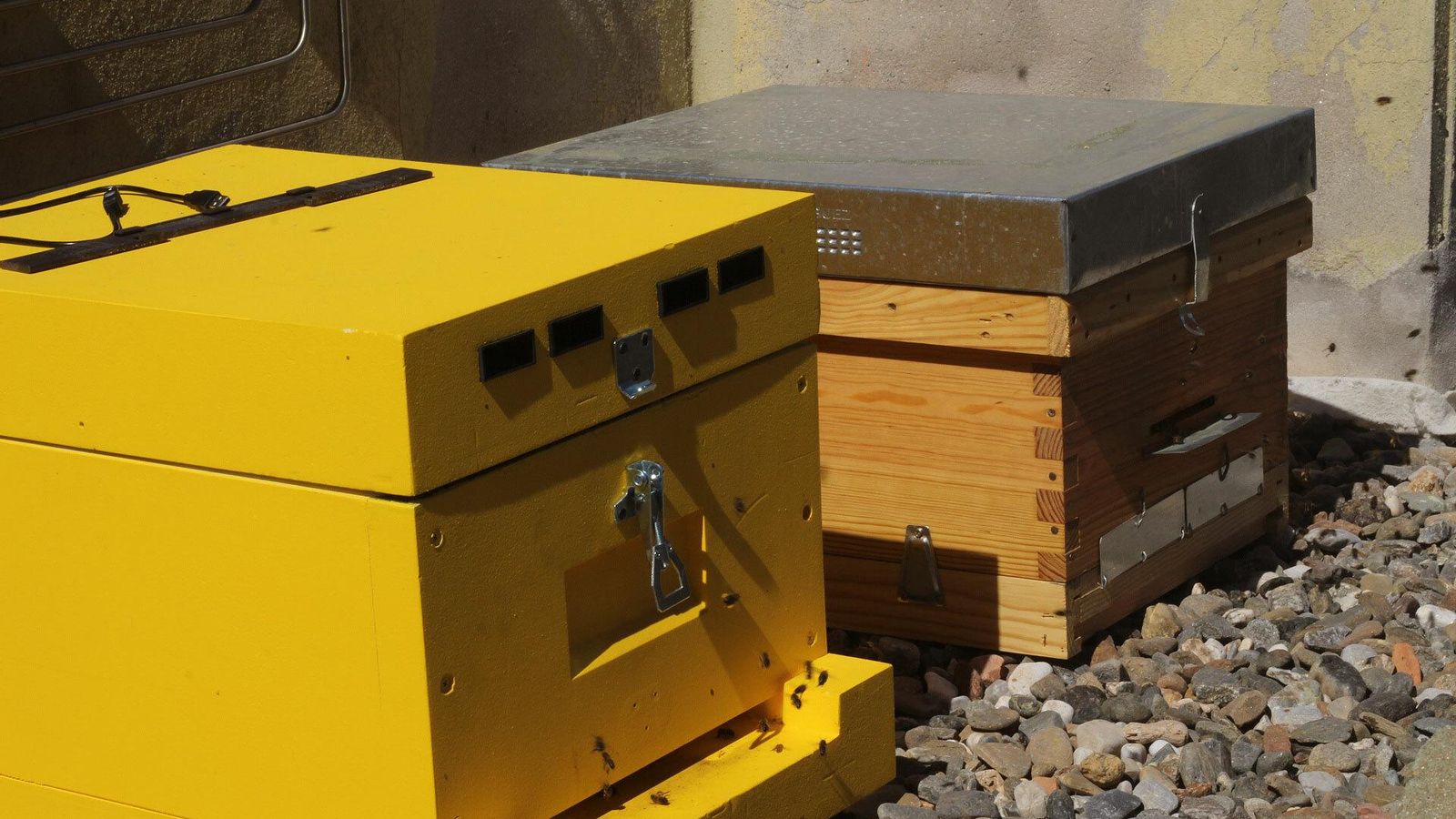 La colmena amarilla de polietireno y la tradicional de madera.