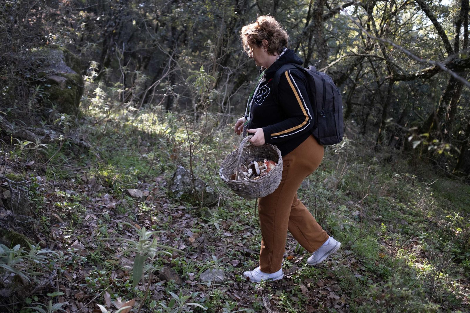 Jornadas micológicas de Cortes de la Frontera, en fotos