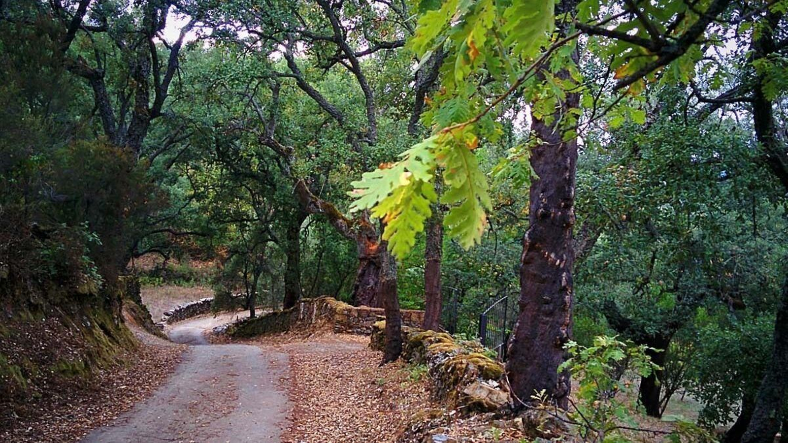 Senderismo por la Sierra de Aracena y Picos de Aroche Senderismo por la Sierra