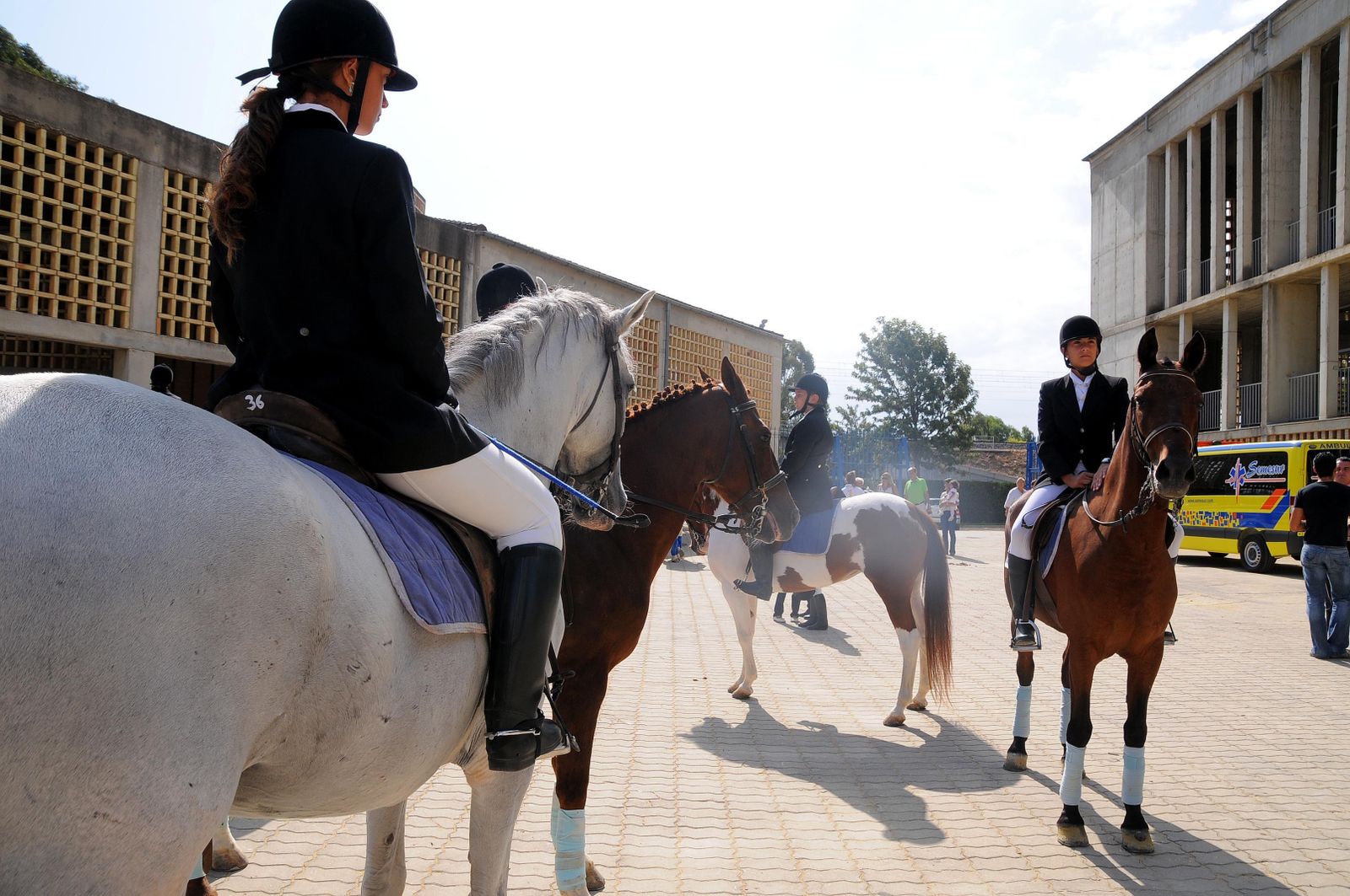 Equisur se celebrará este año en los exteriores de Ifeca.