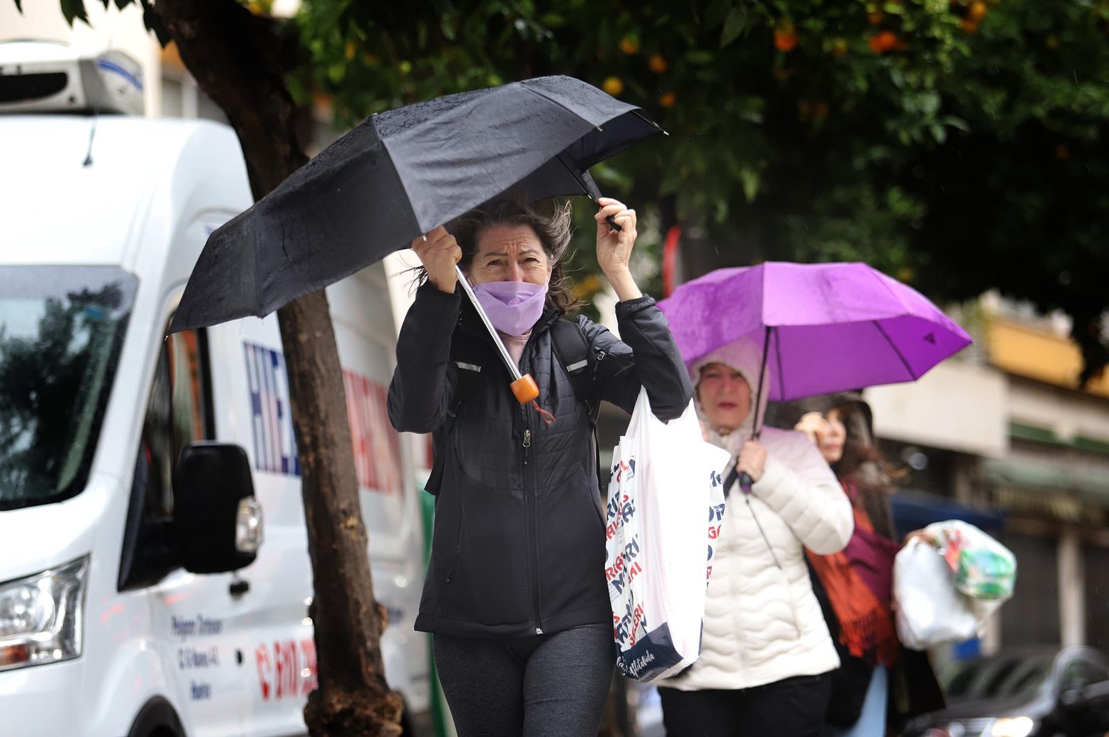 Imágenes del lunes 5 de diciembre en Huelva