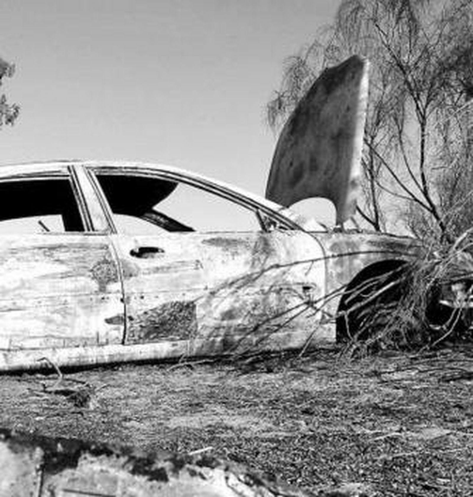 Restos calcinados del vehículo encontrados junto a la autovía.