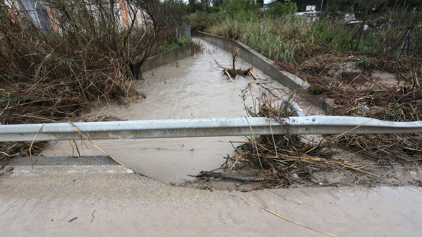 Imágenes del temporal de viento y lluvia en Jerez