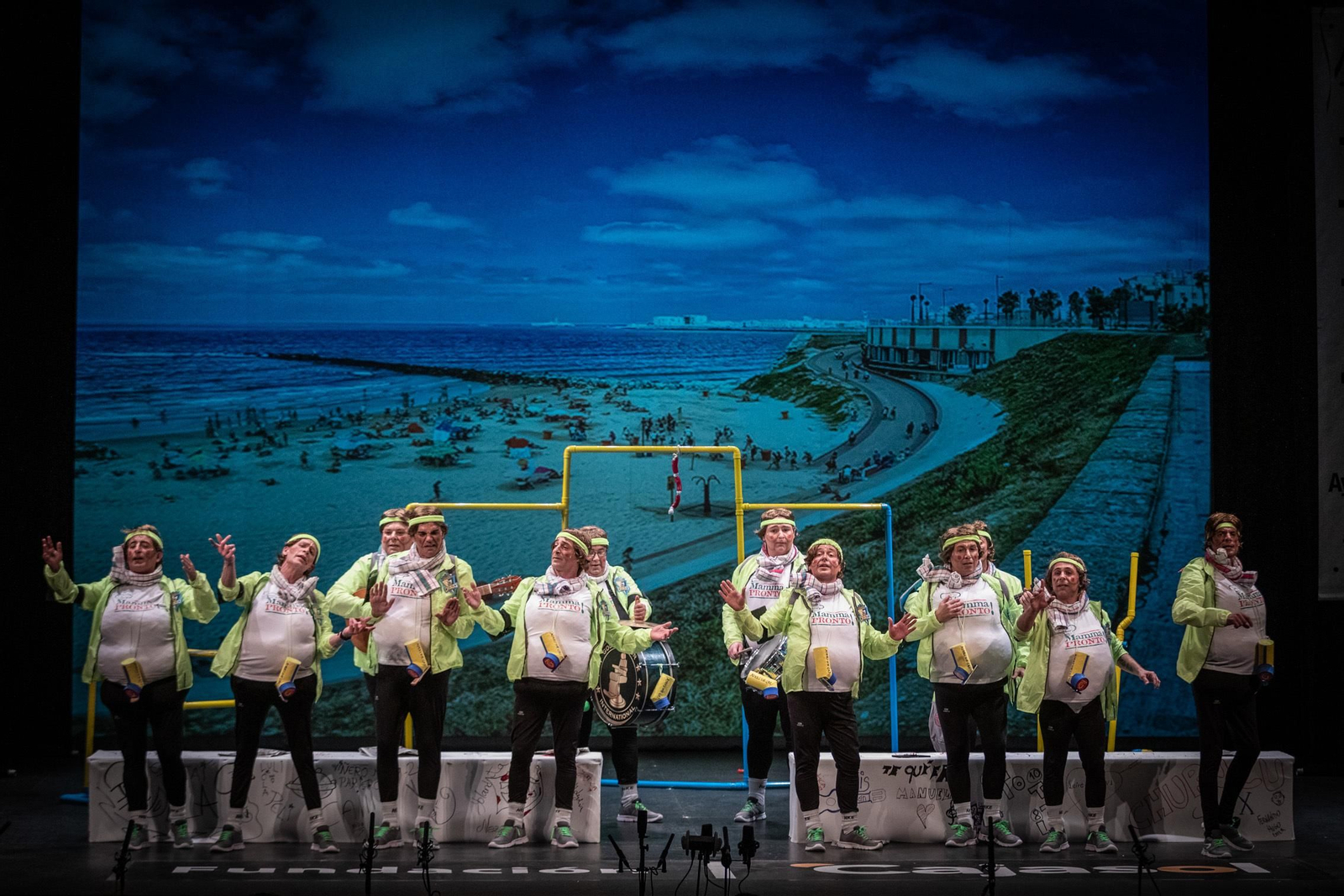 Chirigota 'Los que tienen mucho que perder'