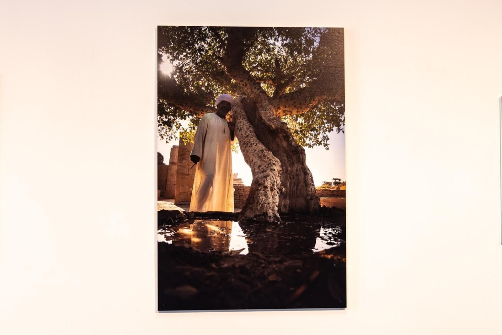 Egipto en Jaén: los bosques sagrados del país del Nilo cobran vida en imágenes