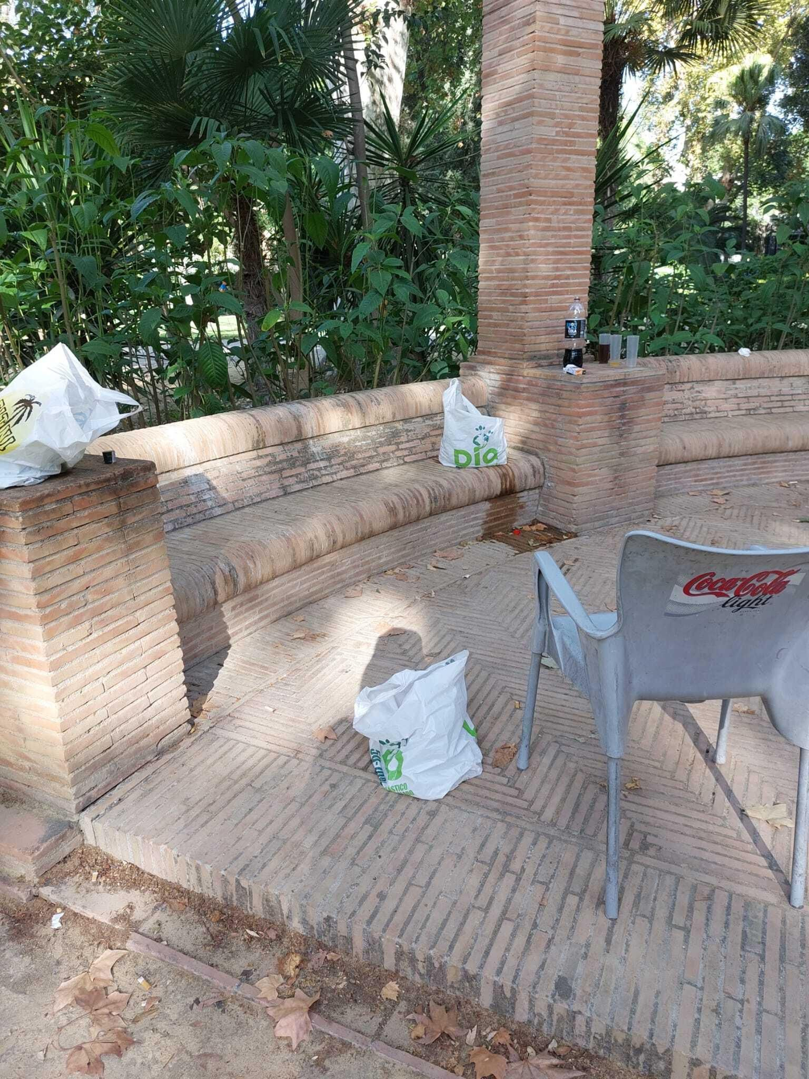 Restos de 'botellona' en el Parque de María Luisa.