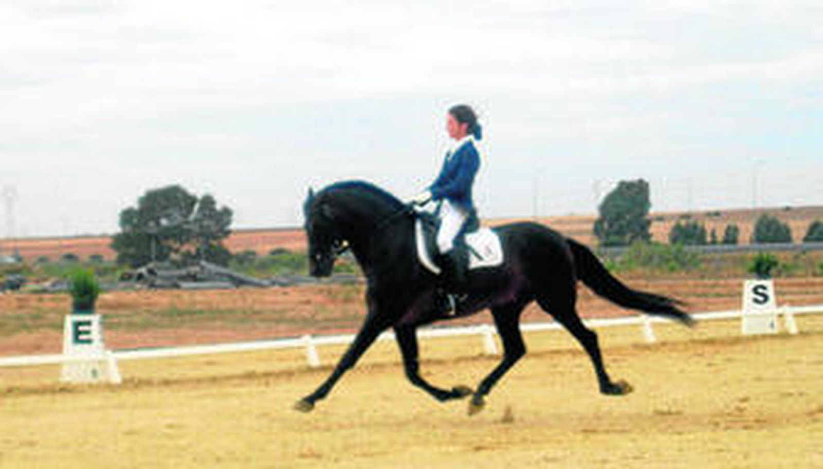 Montenmedio baraja eliminar la Doma Clásica del Circuito Hípico del Sol