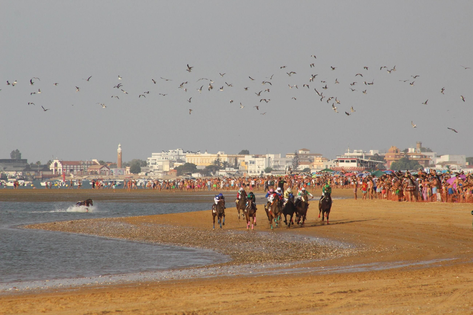Imágenes del último día de Carreras de Caballos en Sanlúcar