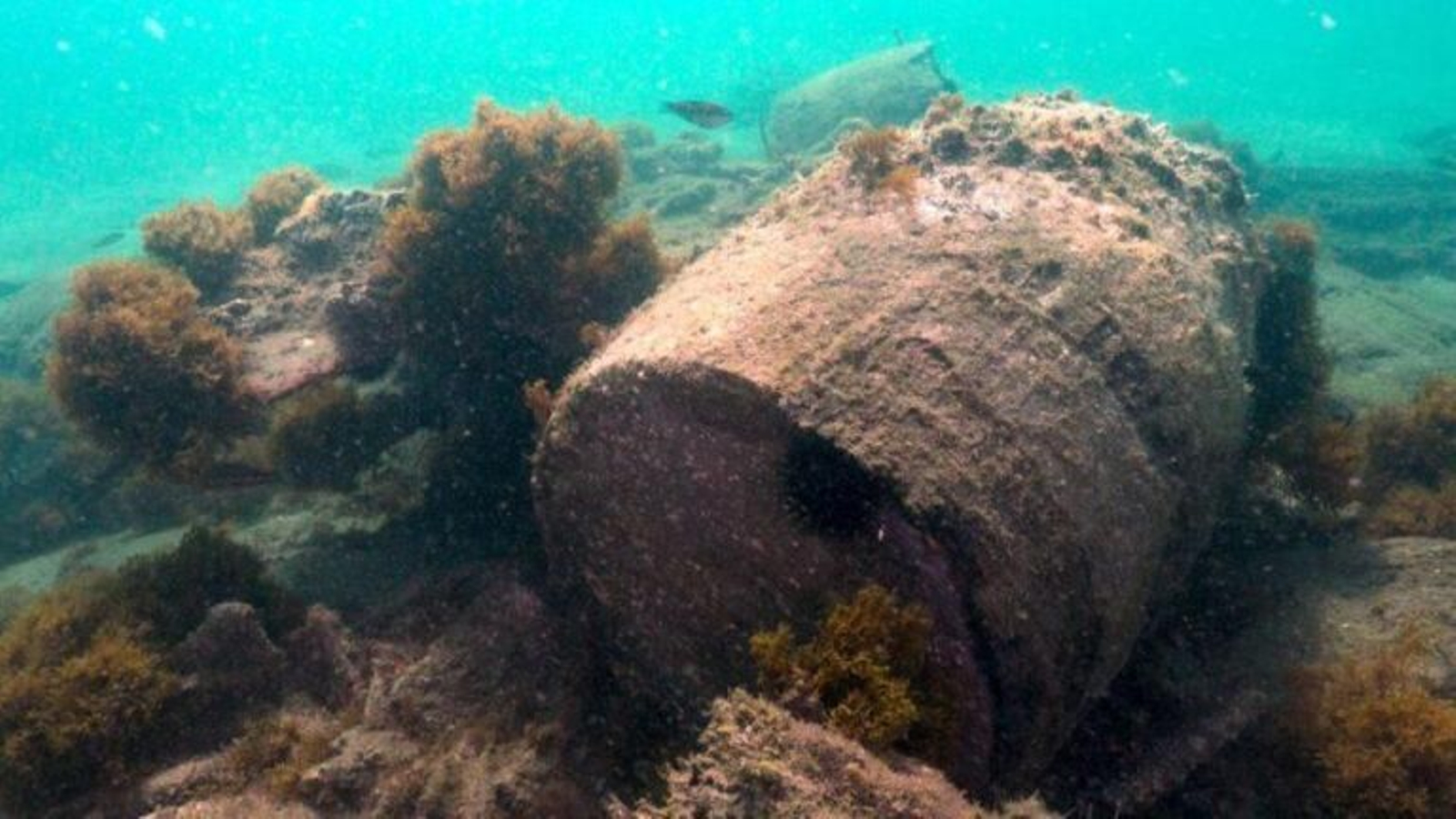 Bidones de madera  de un naufragio.