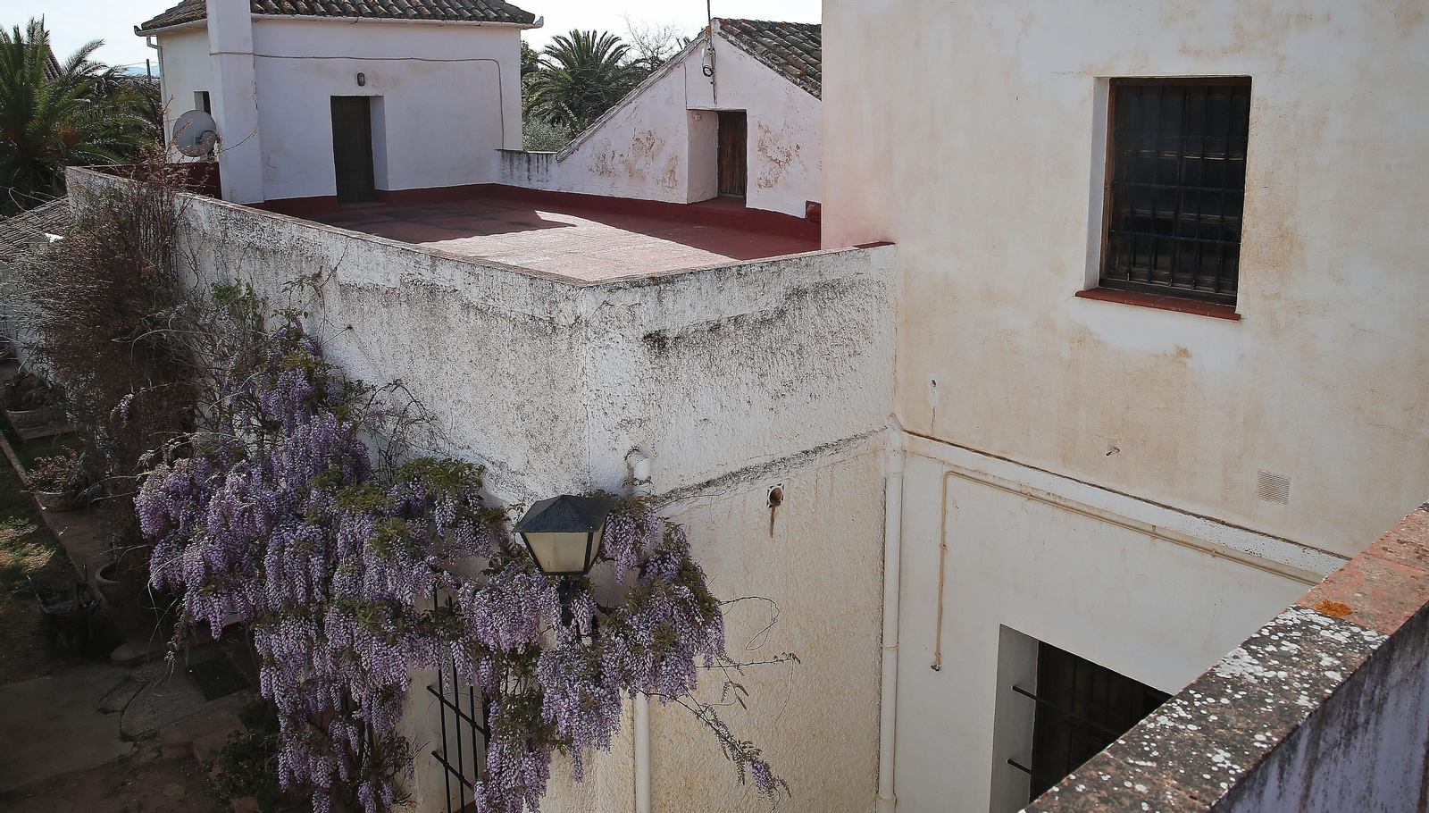 Fotos de Cayetano Rivera Ordóñez en su finca El Recreo San Cayetano en Ronda