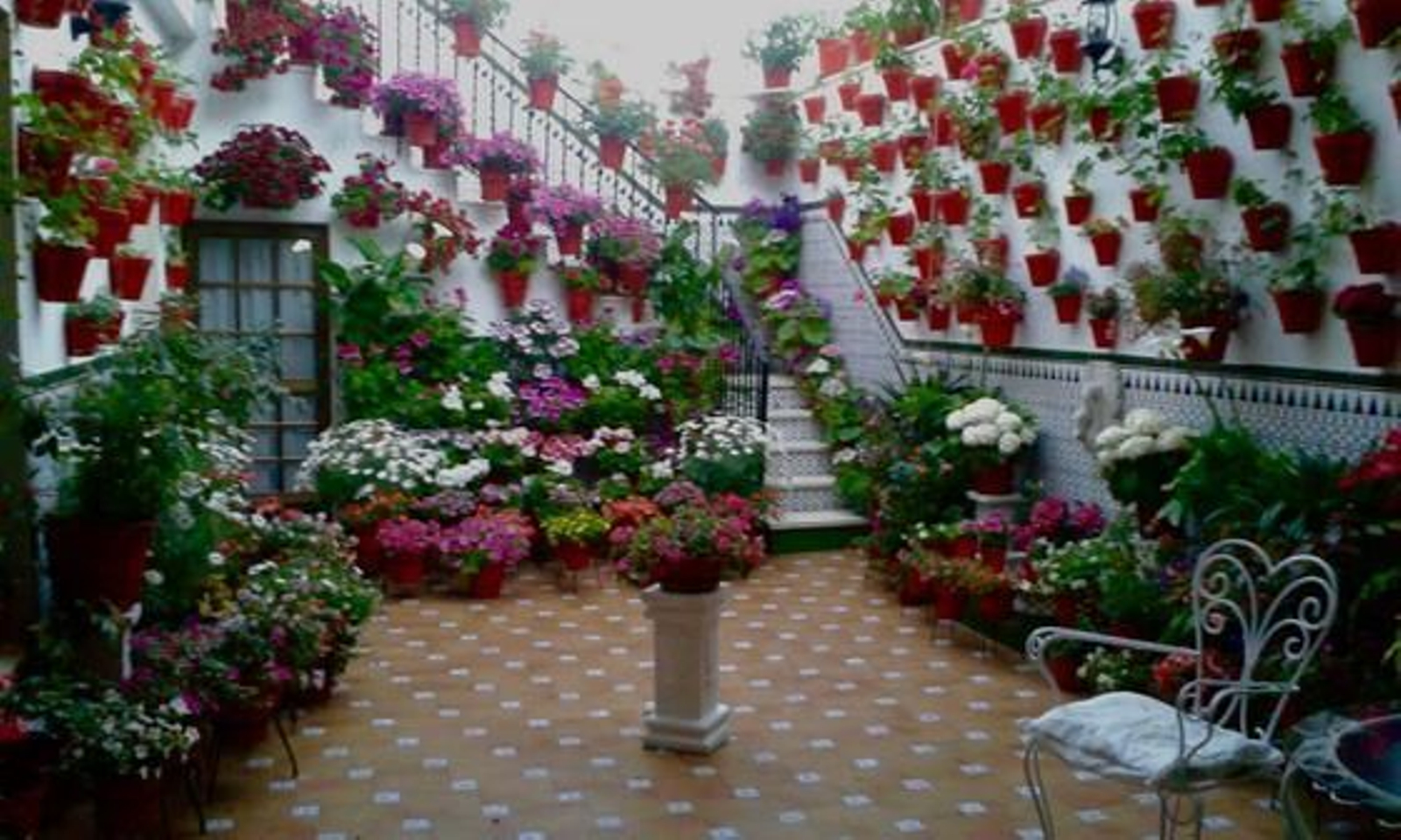 Patio de Cabra. Segundo premio.