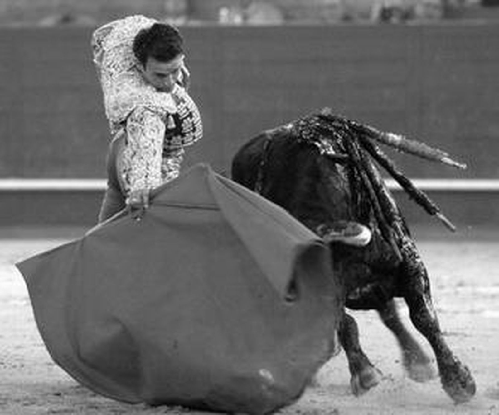El diestro extremeño Antonio Ferrera toreando con la derecha al gran toro de Buenavista.