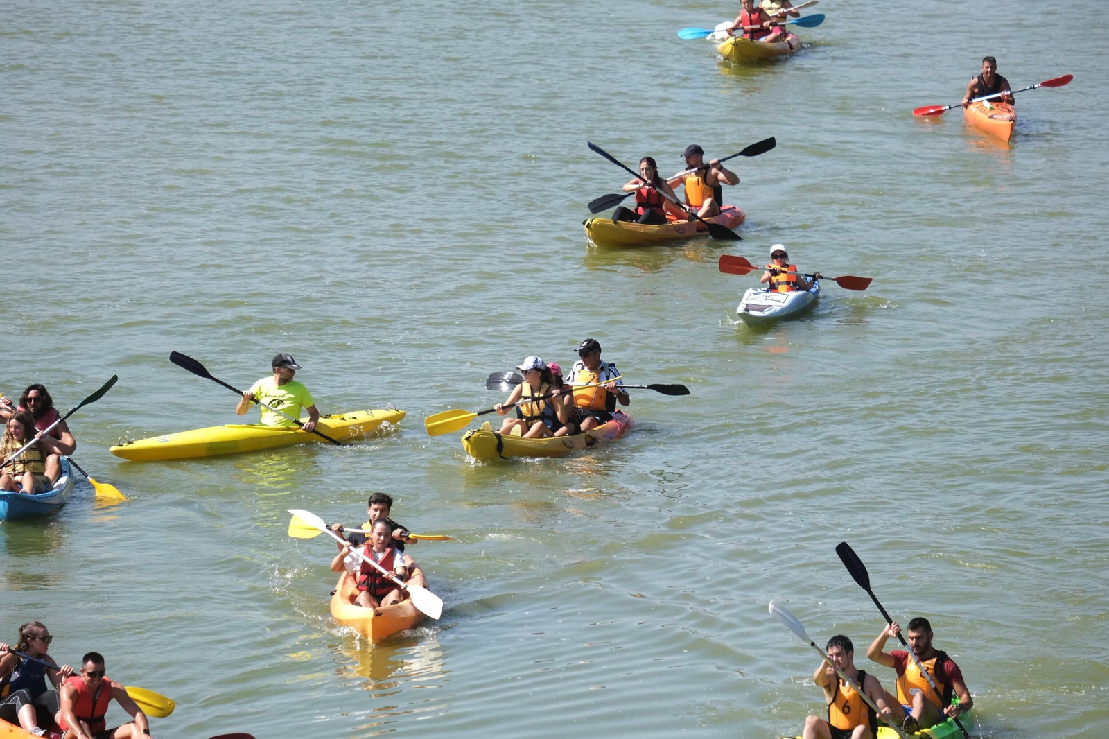 La ruta del caimán por el río Guadalquivir, en imágenes