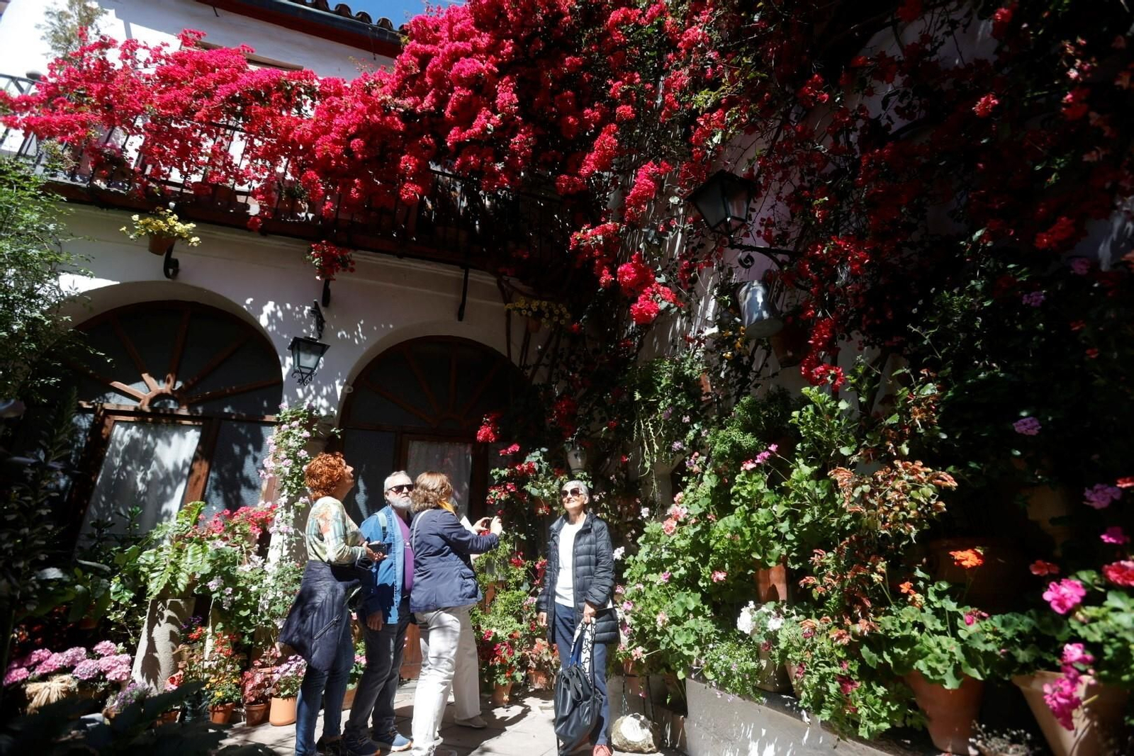 Las mejores imágenes del primer día de Patios en Córdoba