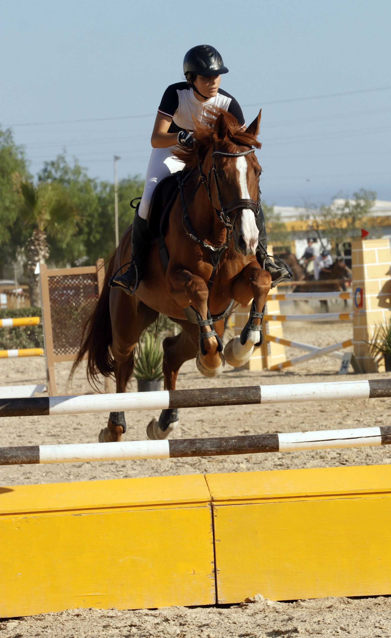Fotogalería del XLV Concurso Nacional de Salto de Obstáculos