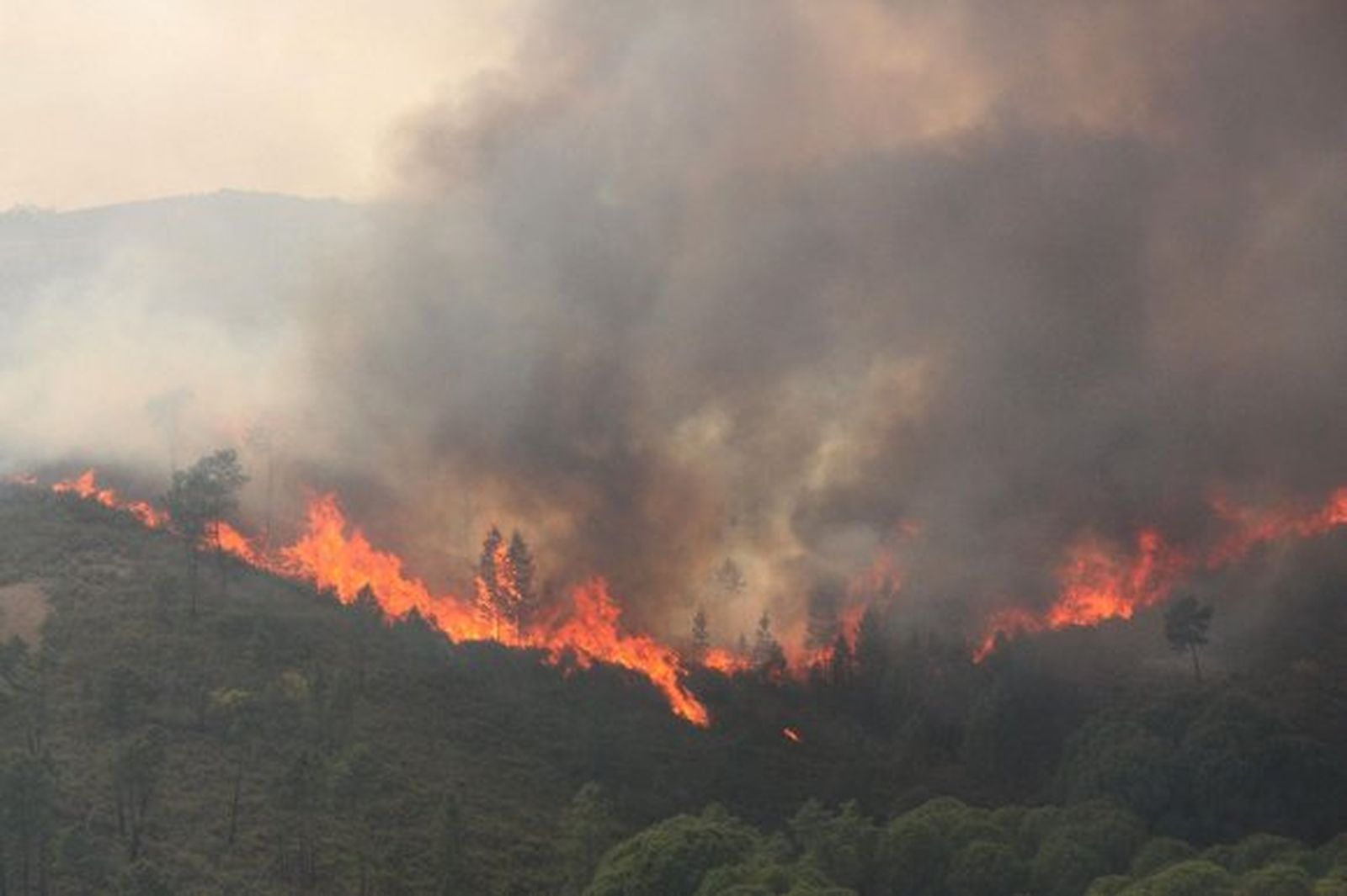 Un incendio de pinar y matorral rememora el desastre de 2004