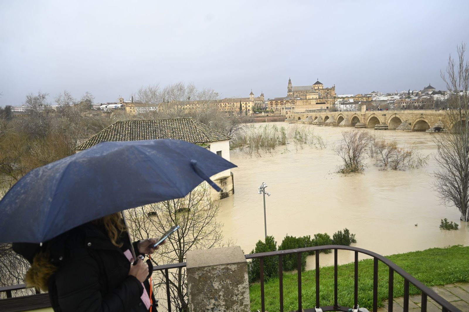 El río Guadalquivir supera los cuatro metros de altura a su paso por Córdoba, en imágenes