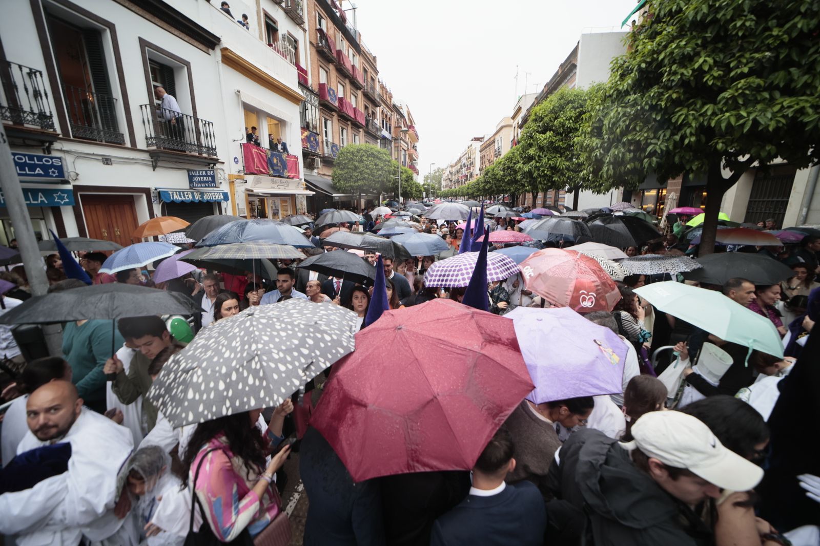 Las imágenes de la hermandad de La Estrella