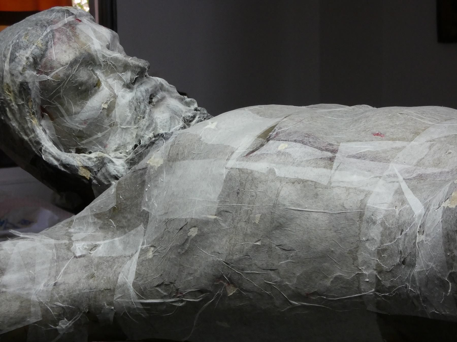 Proceso de fijación.