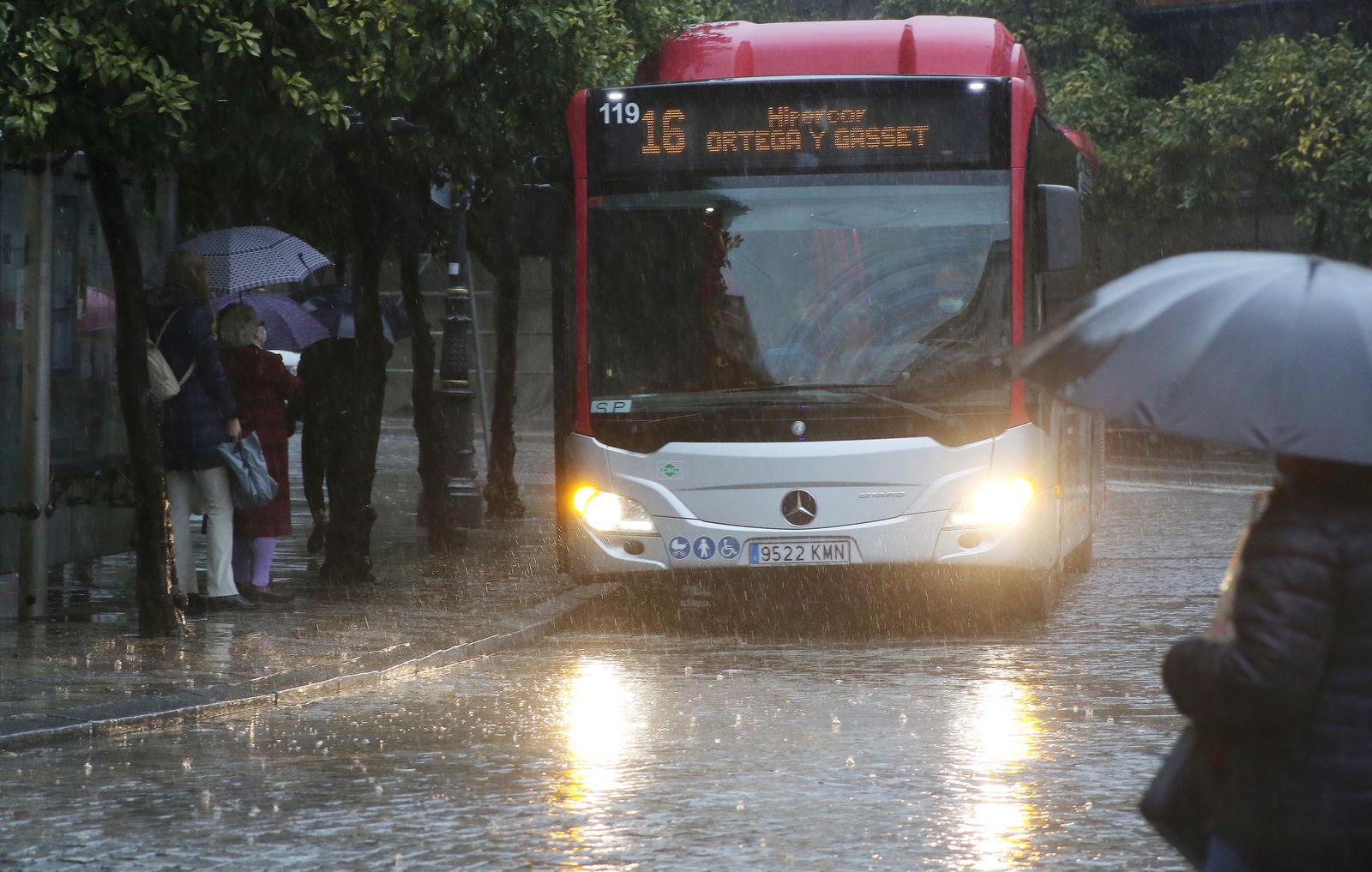 La Borrasca Gaetan descarga con fuerza en Jerez