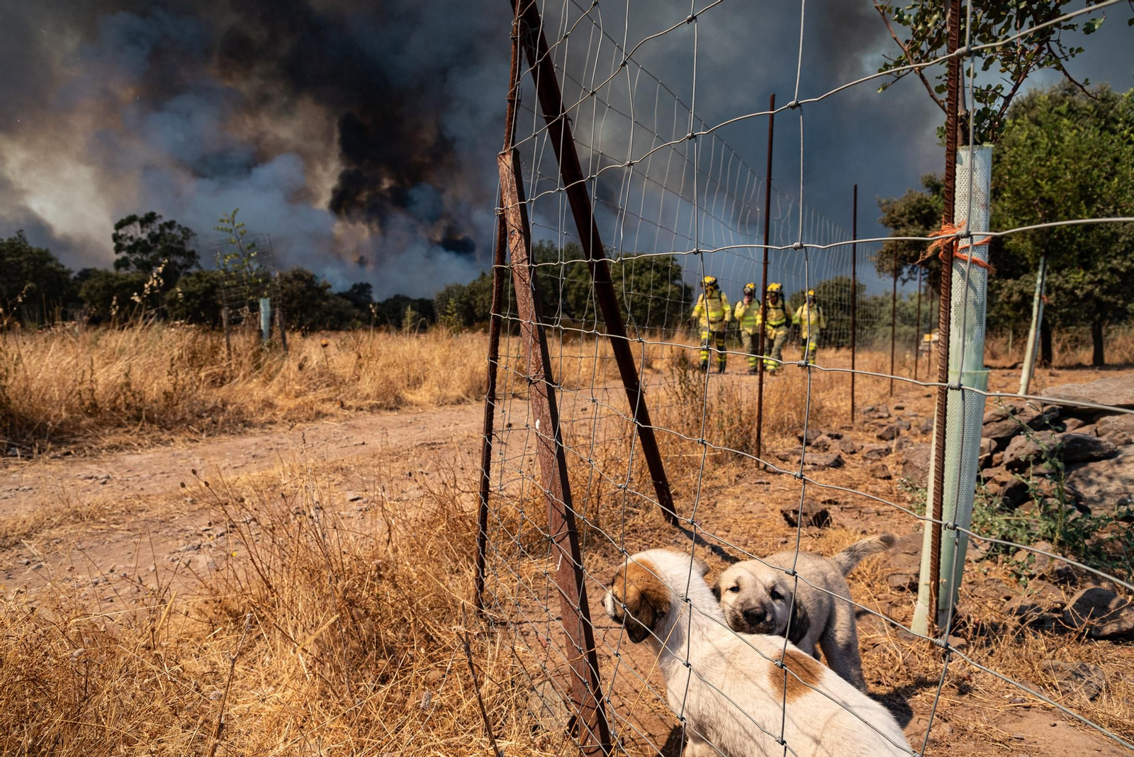 Imágenes del incendio de Almonaster a su paso por Zalamea