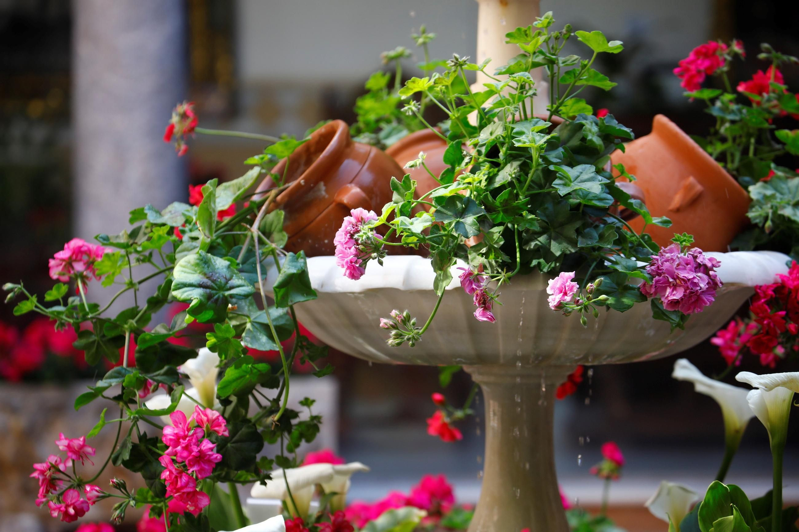 Patio del colegio Nuestra Señora de la Piedad.