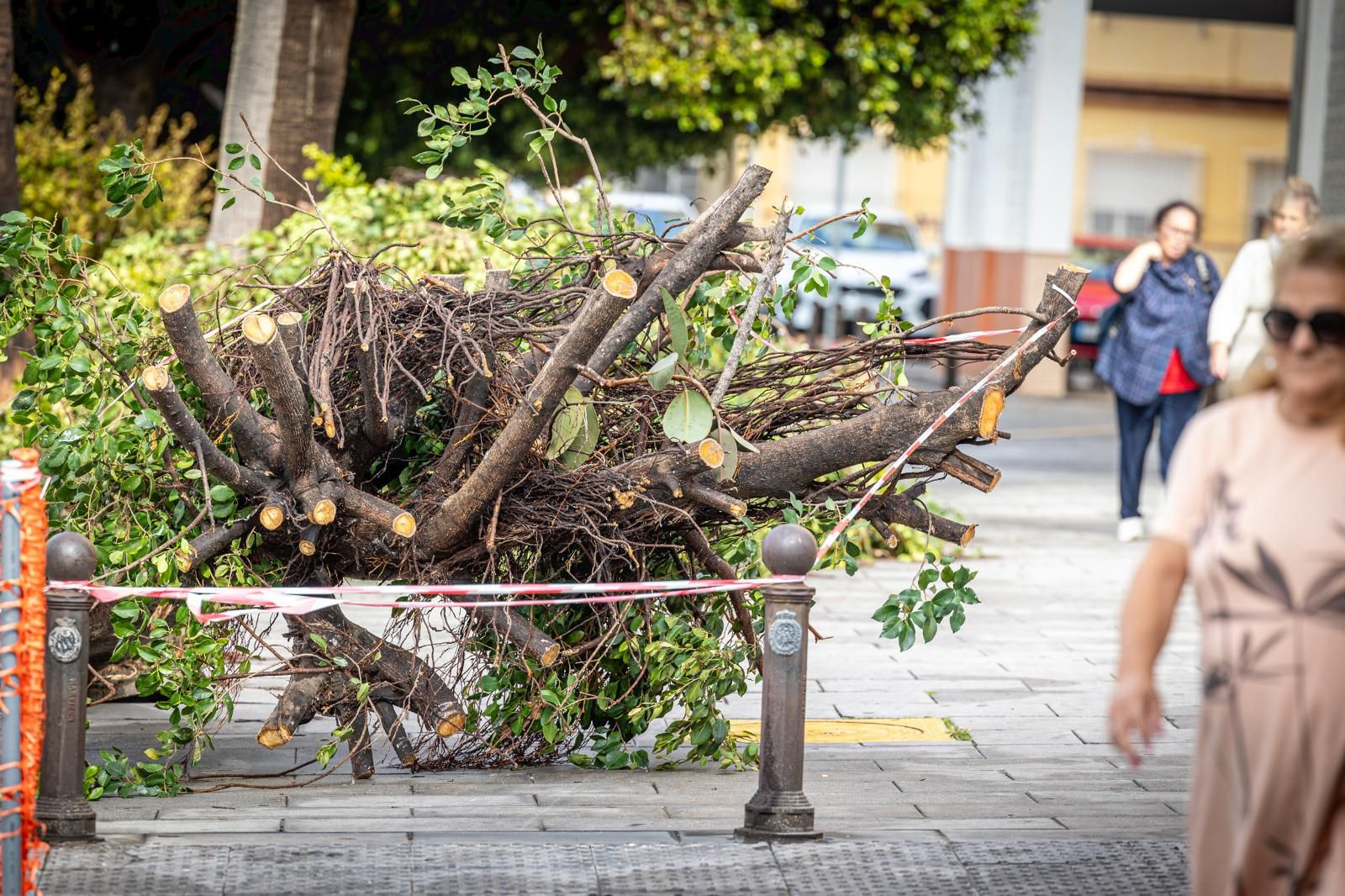 Los daños aún visibles del temporal Bernard en Cádiz