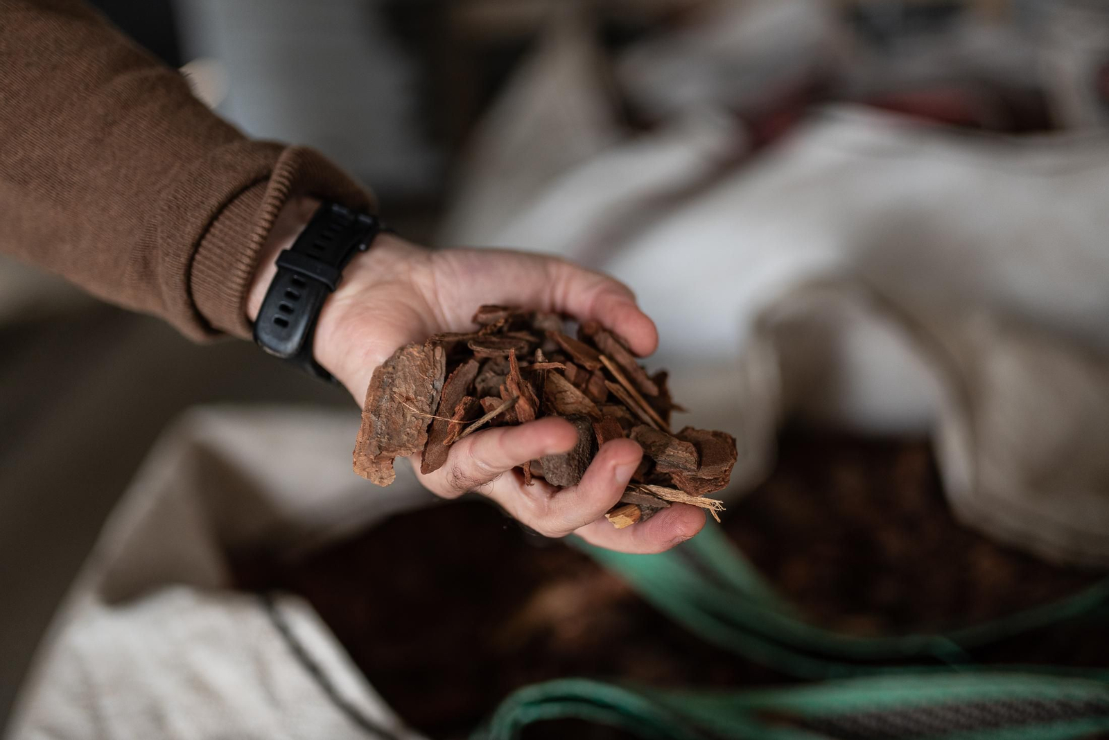 Visita al vivero municipal en imágenes