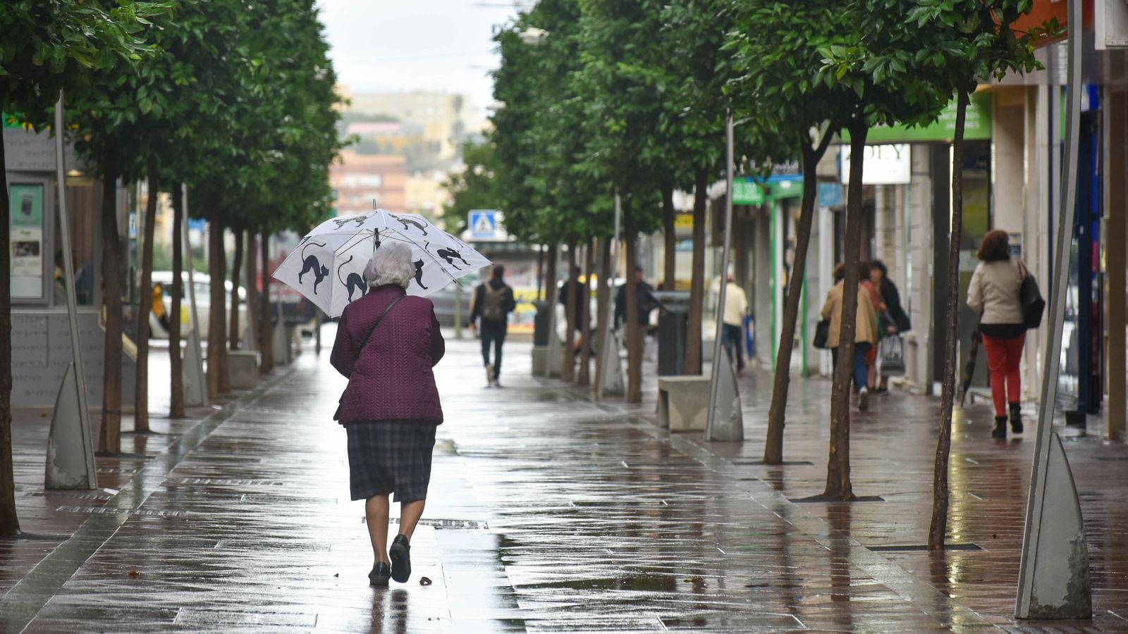 El paso de la borrasca Ciarán por Algeciras, en imágenes