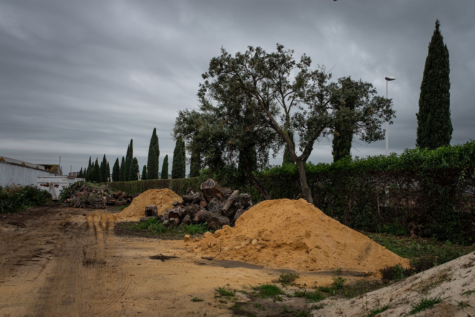 Visita al vivero municipal en imágenes