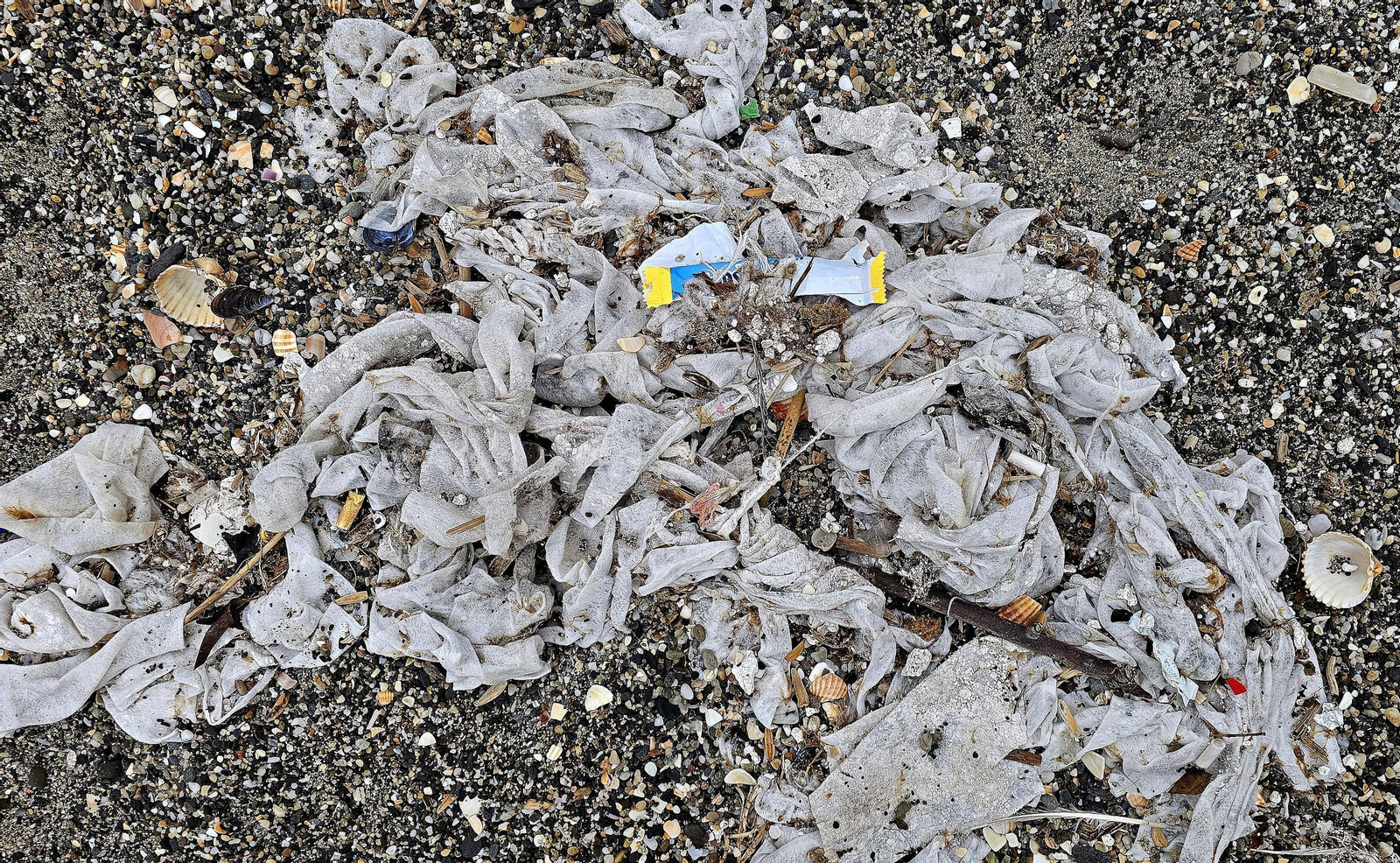 Las toallitas acumuladas en la playa de Levante de La Línea, en imágenes