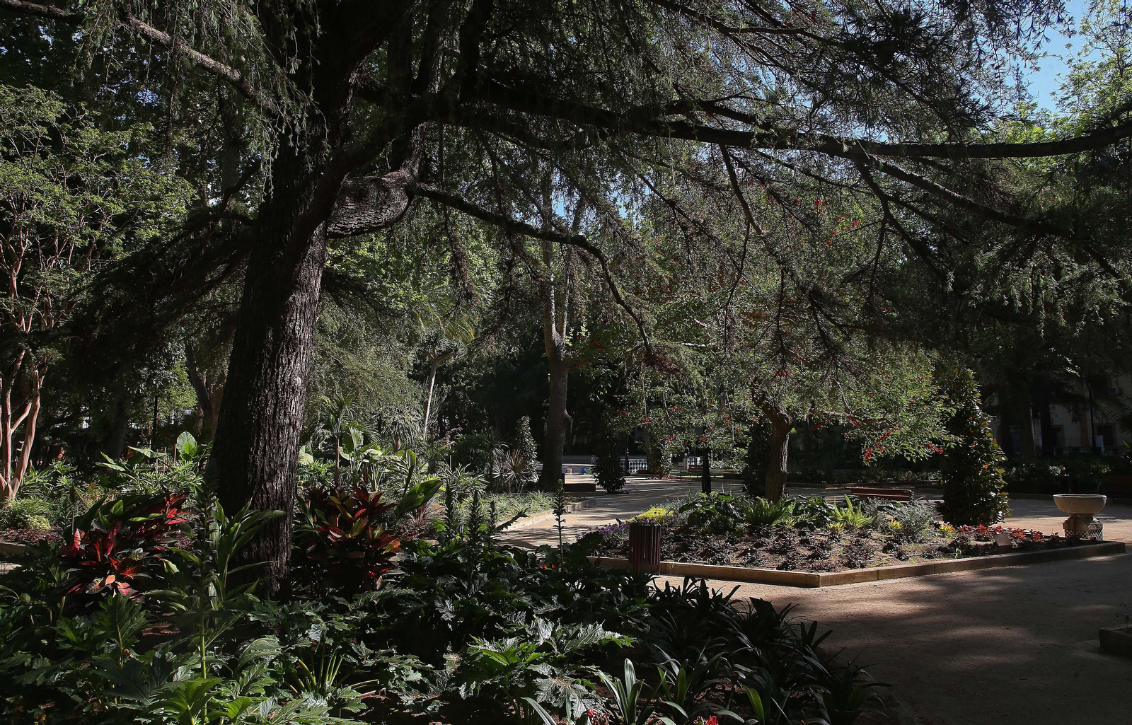 El parque María Cristina de Algeciras, listo para su reapertura