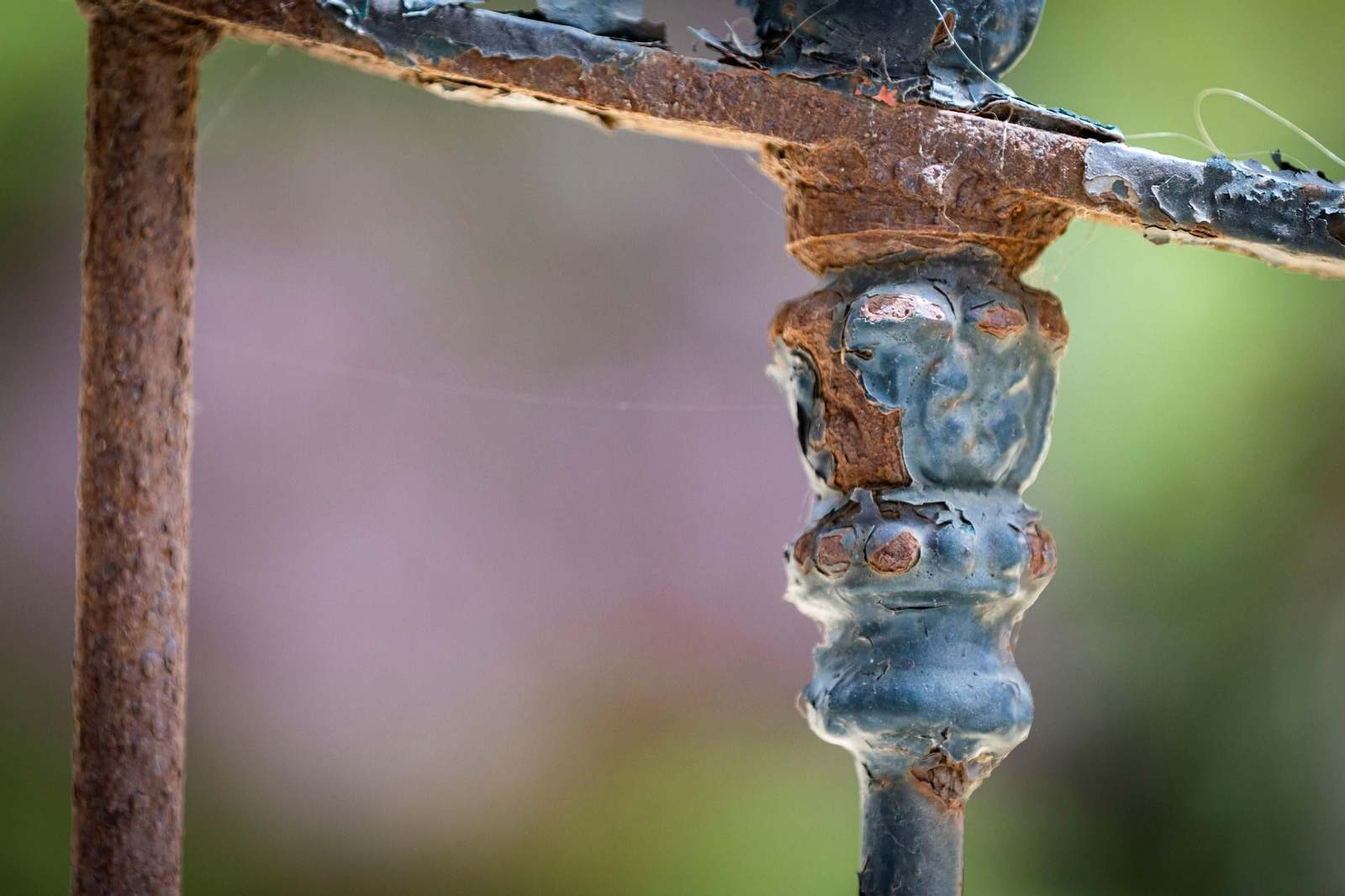 Imágenes del abandono del parque Genovés en Cádiz