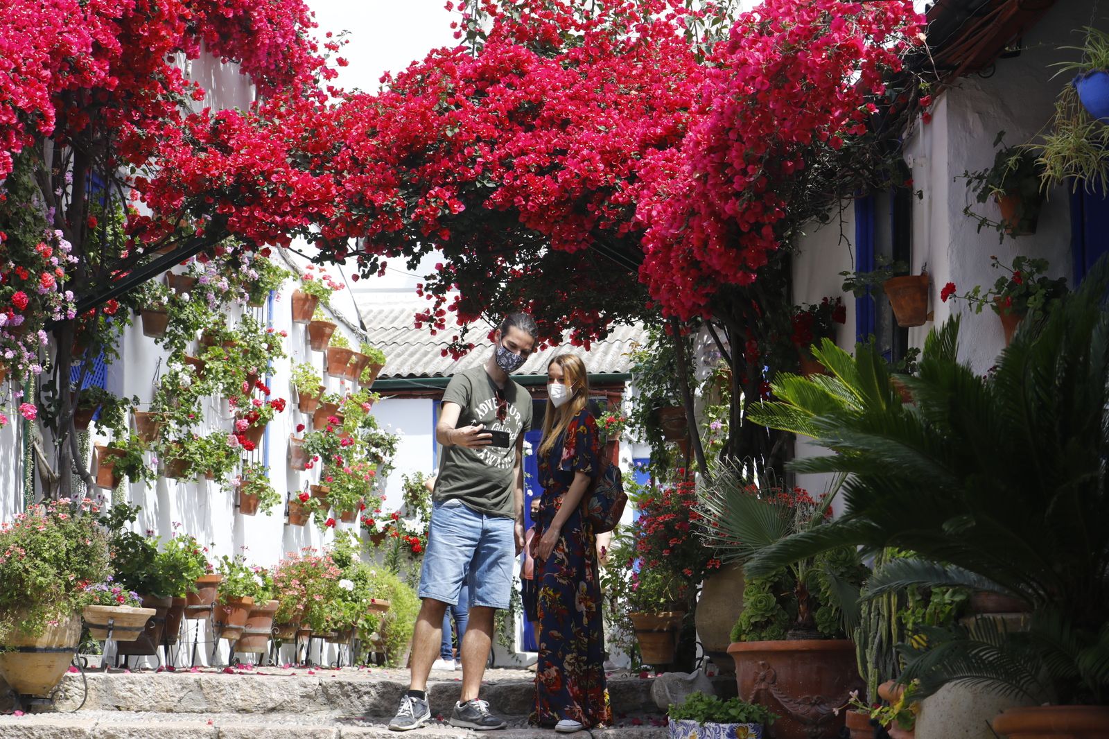 Fotografías: Sábado de colas y bulla en los Patios de Córdoba