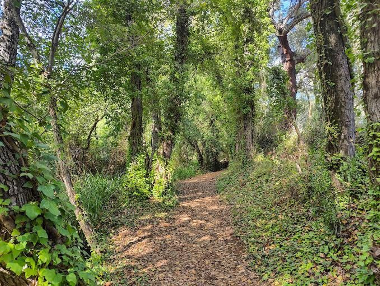El primer pueblo 'Nordic Walking' de Andalucía está en Huelva