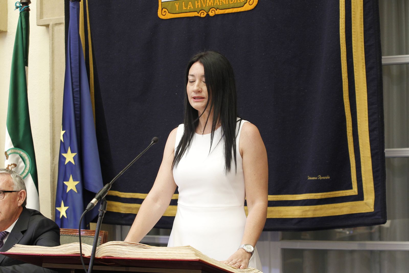 Pleno investidura Presidente Diputación de Almería. Javier Aureliano García