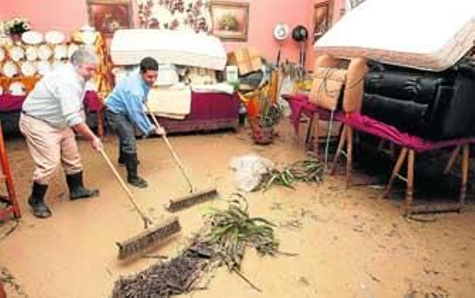 La Junta desbloquea la legalización de casas en cañadas un año después