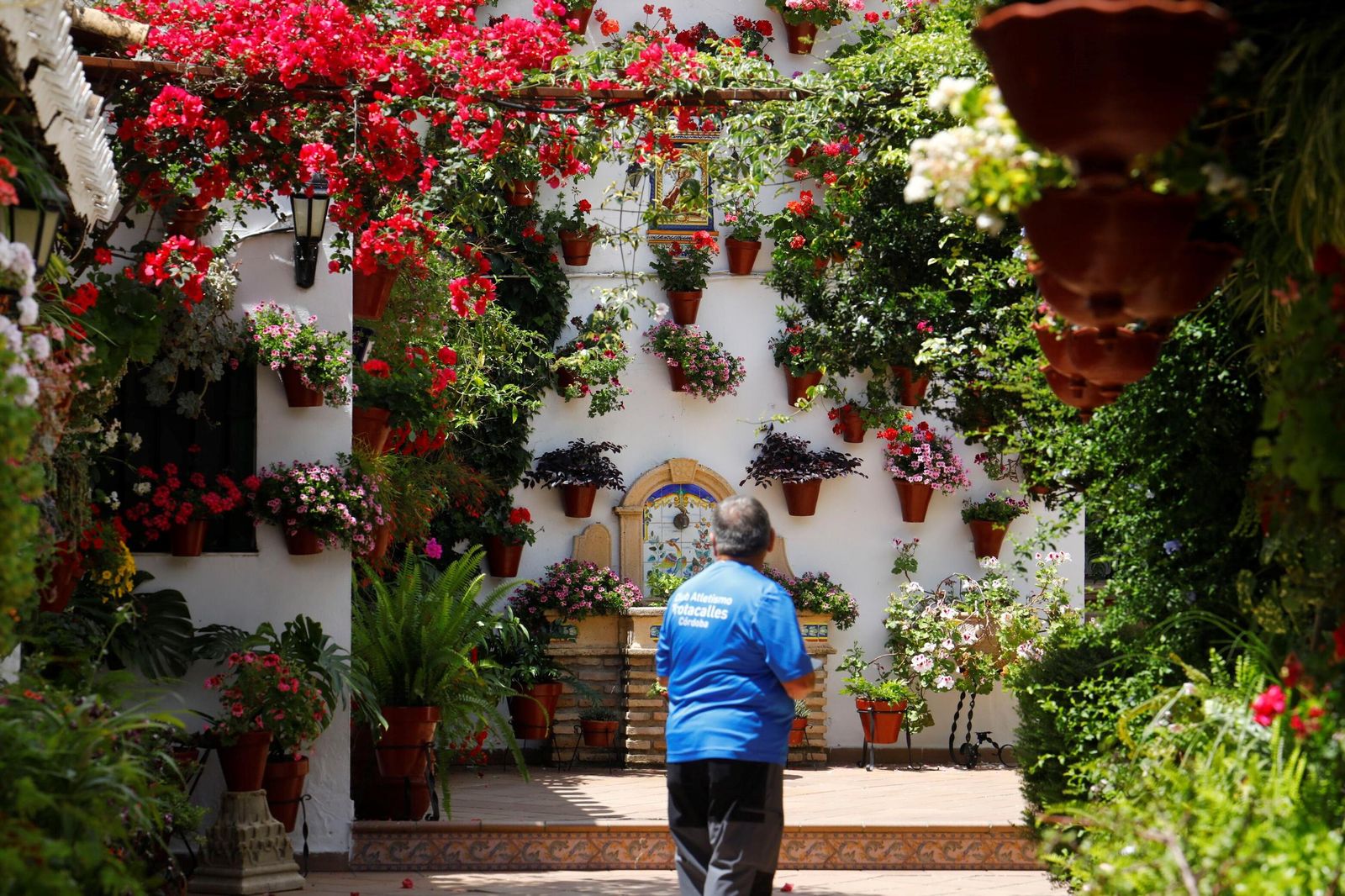 Un recorrido en imágenes por los patios de la ruta Regina-Realejo