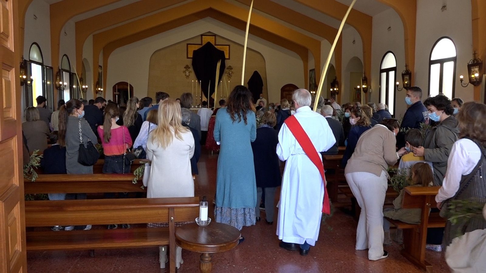 Las fotos del domingo de palmas y olivos en San Roque