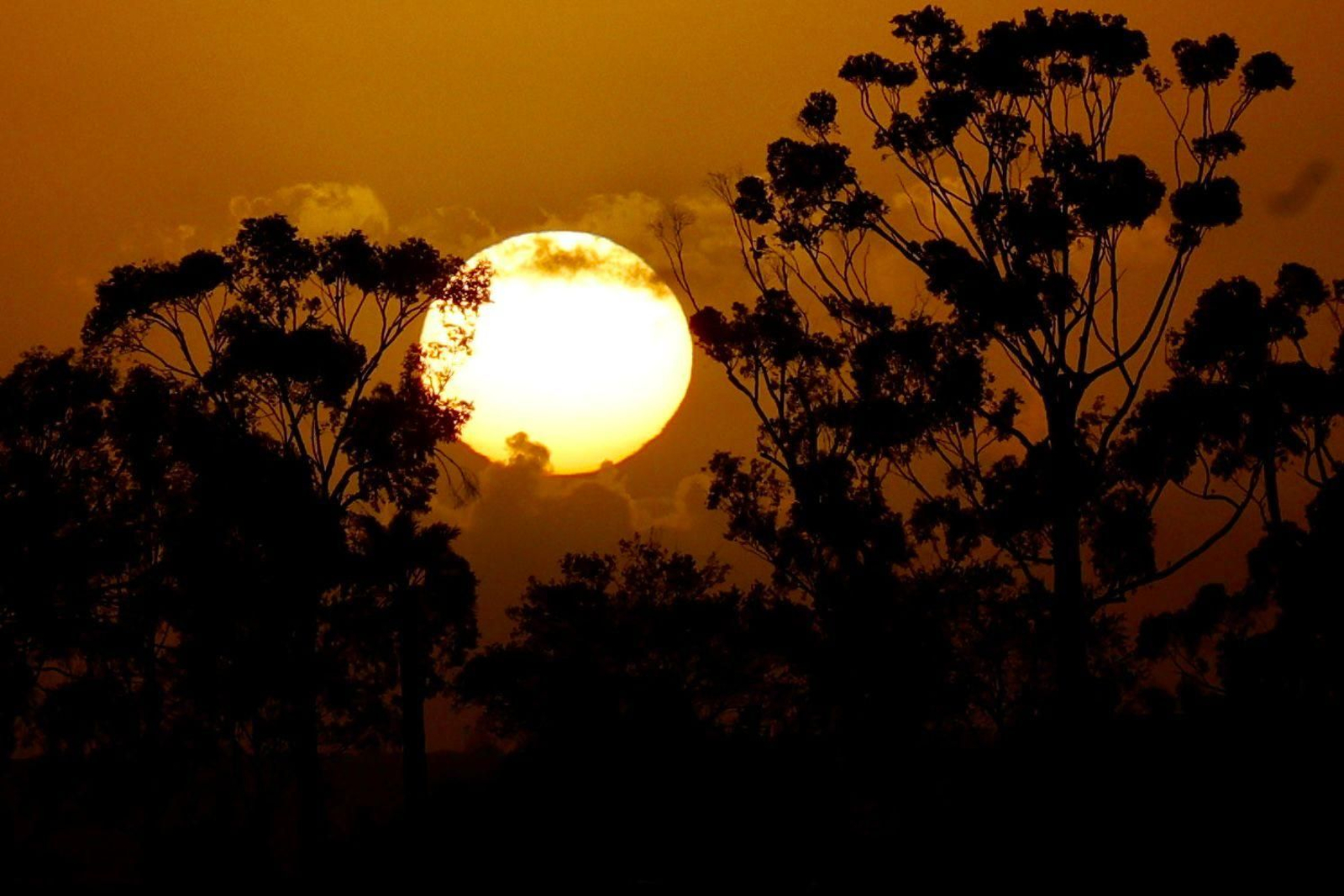 La ciudad recobra la normalidad tras desactivarse el aviso naranja por lluvias