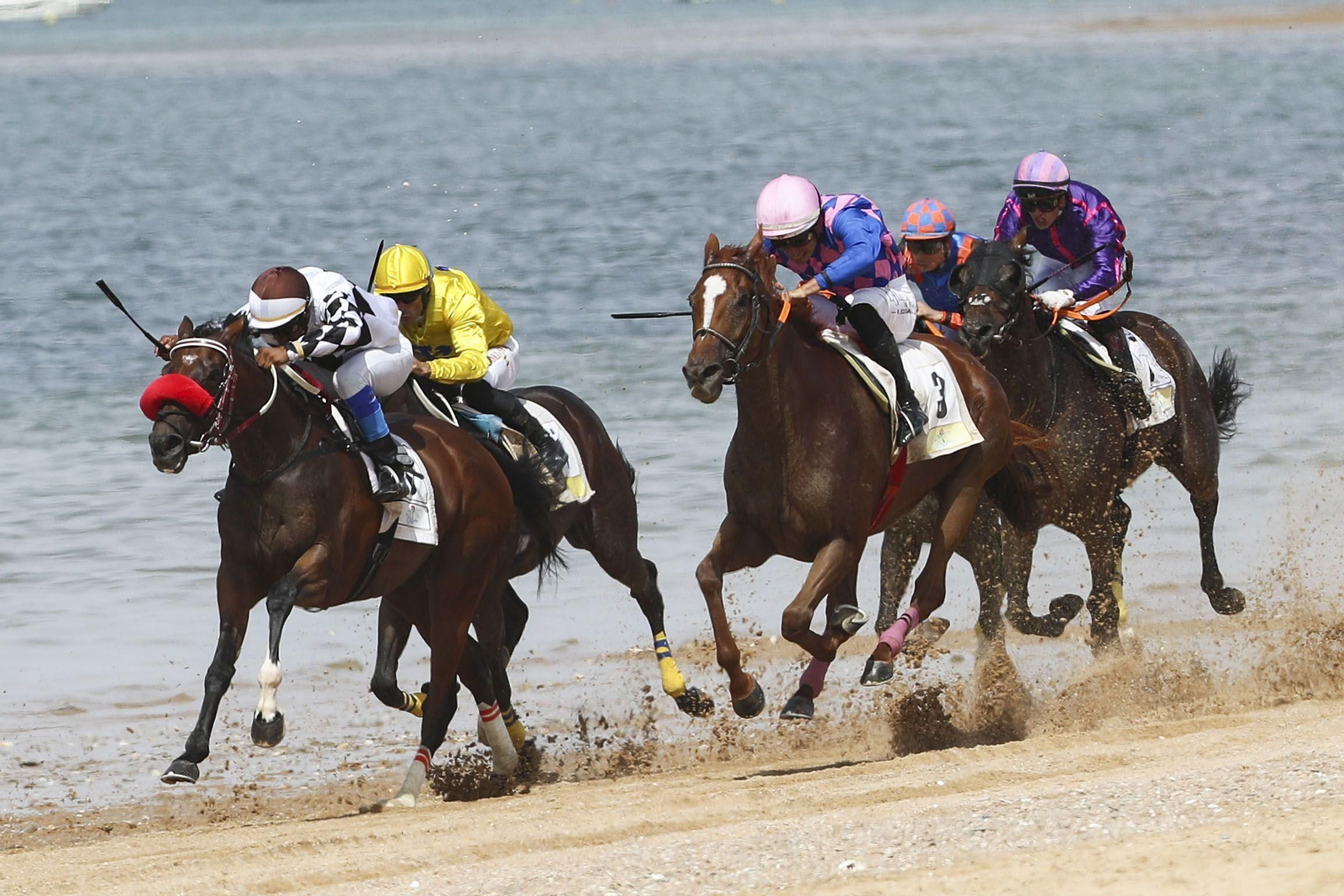 Los mejores momentos del inicio del segundo ciclo de las Carreras de Caballos de Sanlúcar